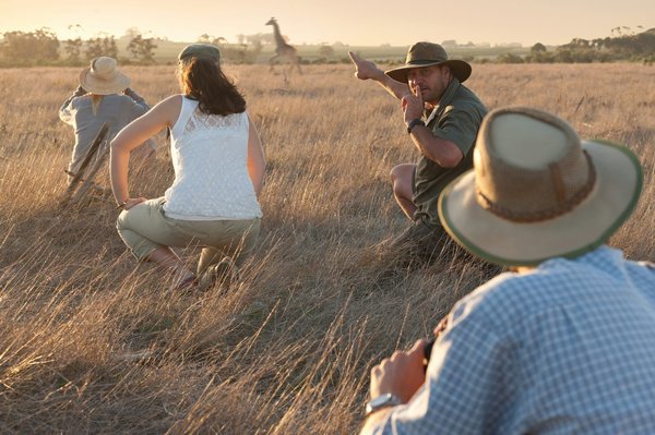 Où trouver une résidence au Cap avec des safaris photo dans le parc de Kruger?